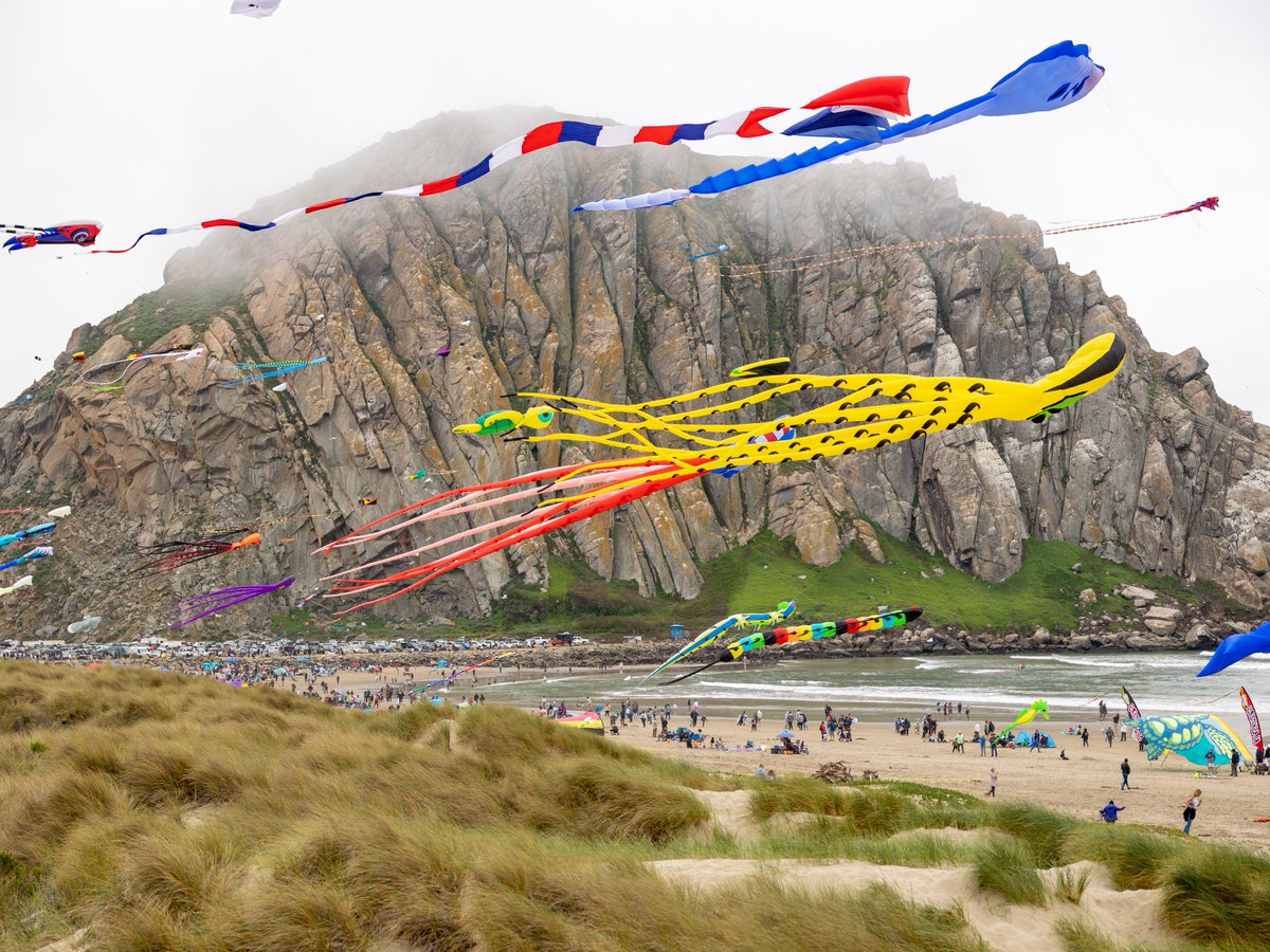 Morro Bay, CA tweet media