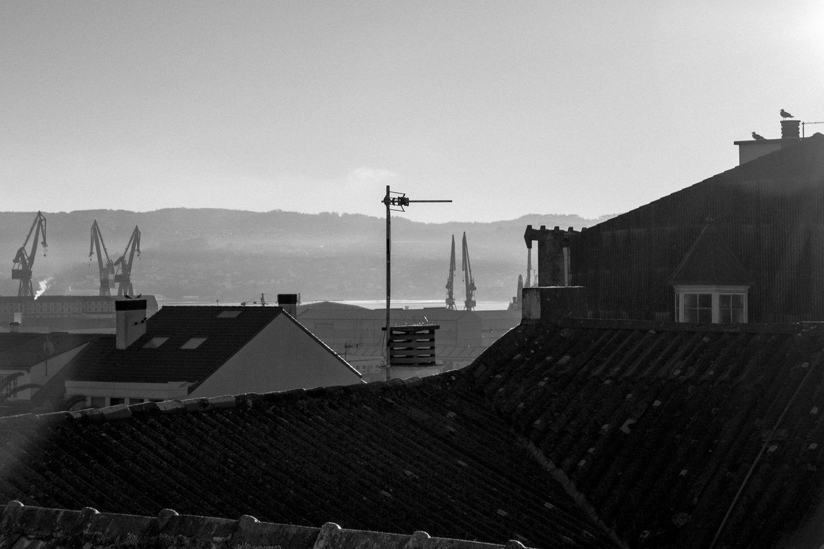 Ferrol 💚
