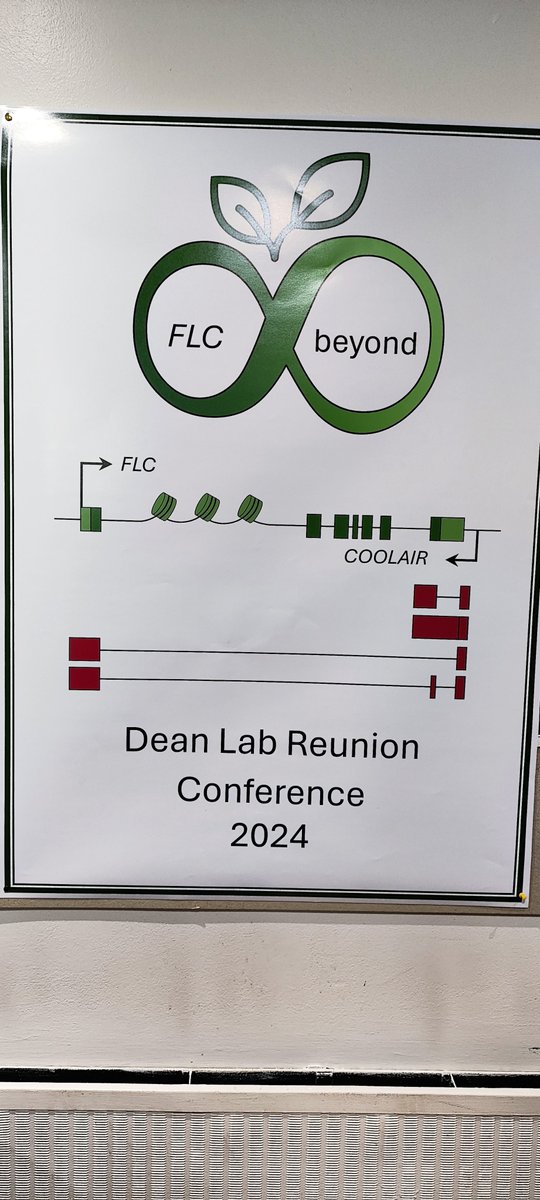 Eduardo Mateo / @emateobonmati.bsky.social (@emateobonmati) on Twitter photo Today we started a very special meeting at <a href="/JohnInnesCentre/">John Innes Centre</a>. The first reunion of all Dean alumni. First time I saw live so many people I read papers from! Good science and a lot of fun ahead! <a href="/CarolineDeanLab/">Caroline Dean</a> <a href="/YiliangDing/">Yiliang Ding</a> Today we started a very special meeting at <a href="/JohnInnesCentre/">John Innes Centre</a>. The first reunion of all Dean alumni. First time I saw live so many people I read papers from! Good science and a lot of fun ahead! <a href="/CarolineDeanLab/">Caroline Dean</a> <a href="/YiliangDing/">Yiliang Ding</a>