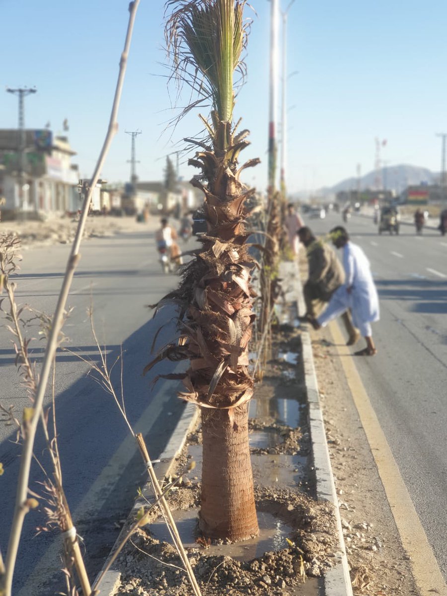 Hassam Shafqaat tweet media