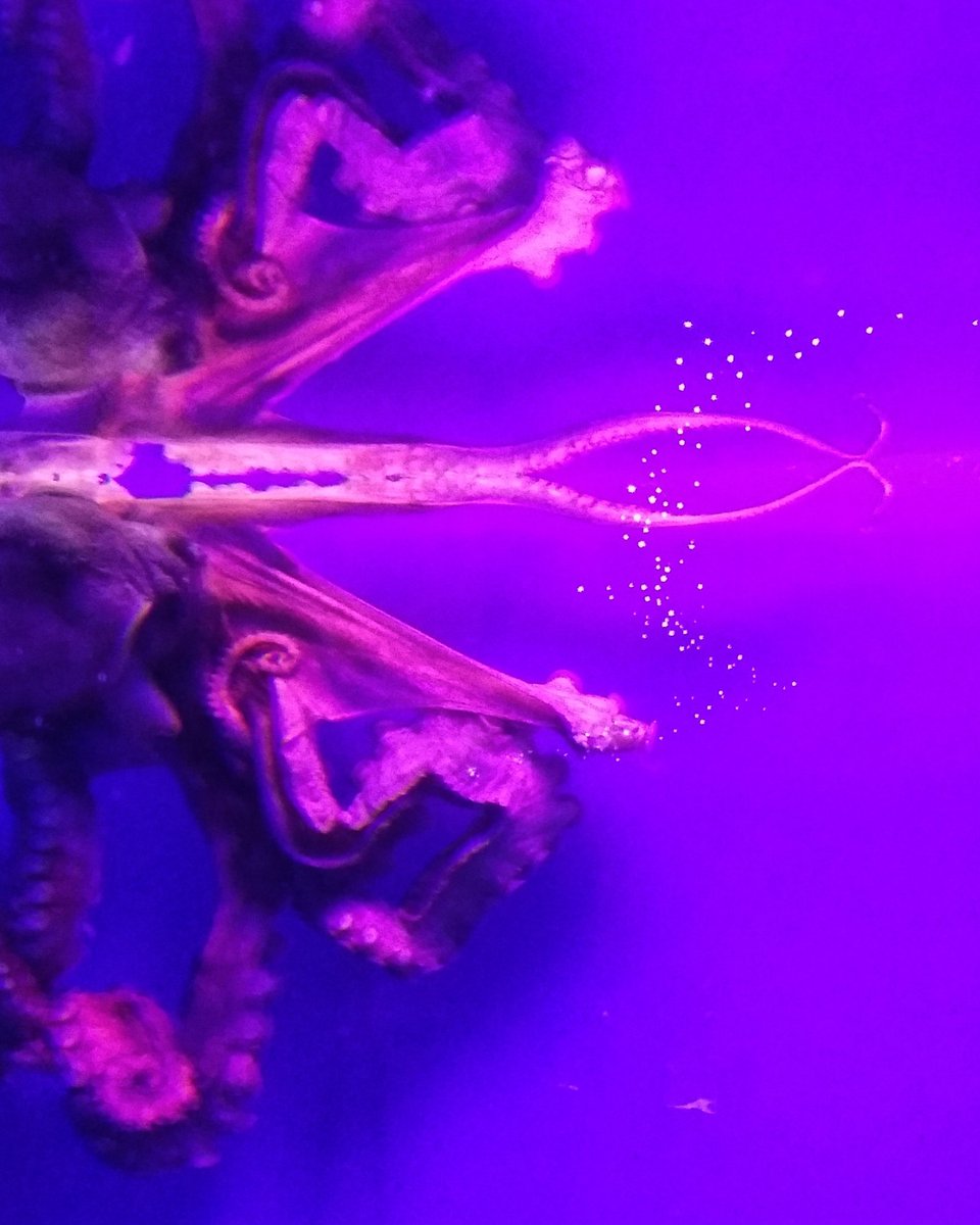 Запостите фото, которое сделали сами. Только фото, без описания.