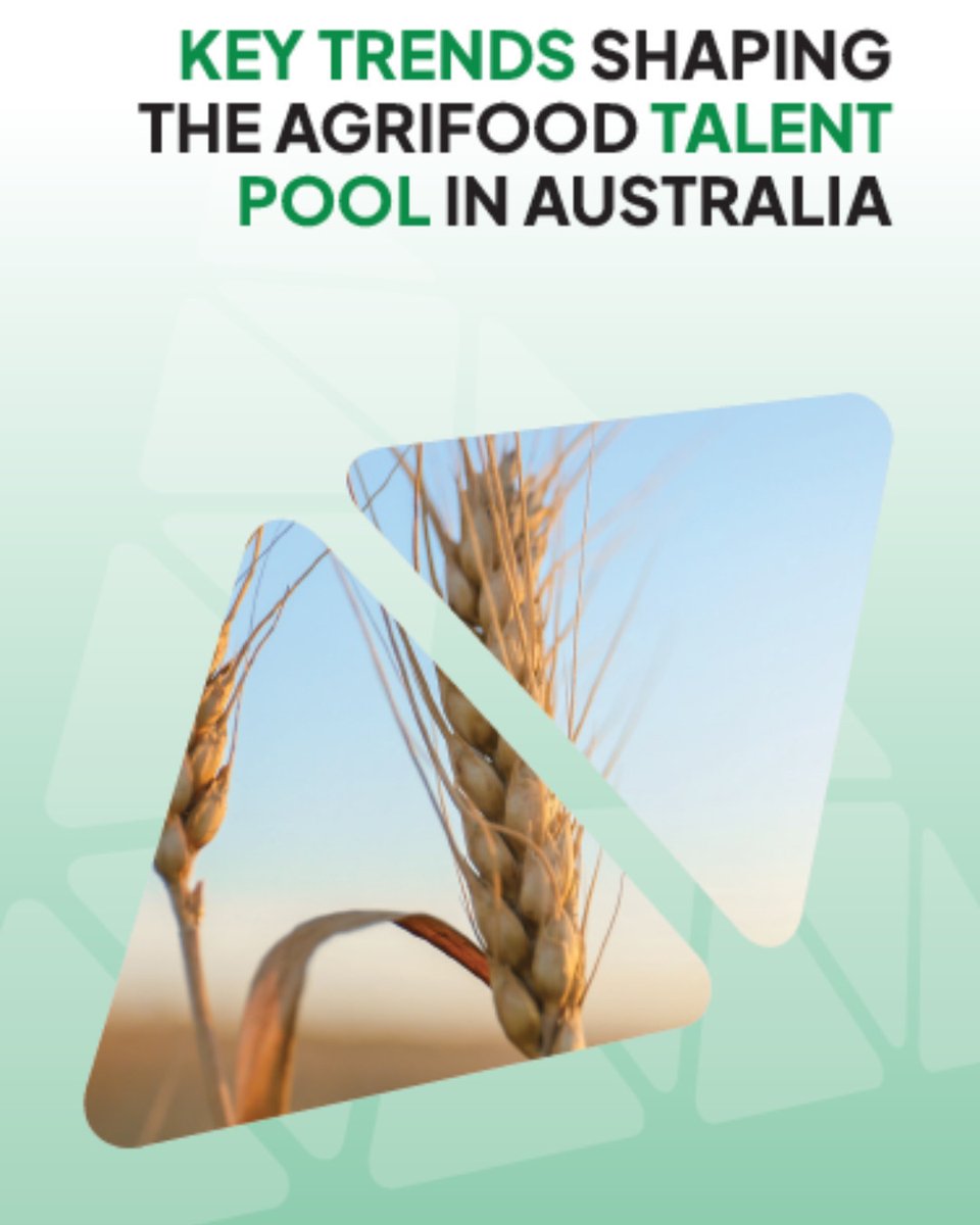 Explore the latest trends in agricultural recruitment! Our annual report delves into the evolving landscape of hiring in the Australian Agriculture sector. Get your FREE COPY TODAY! ow.ly/Gbhq50R6f3n #agjobs #seek #agchatoz #agriculture #farming #agribusiness