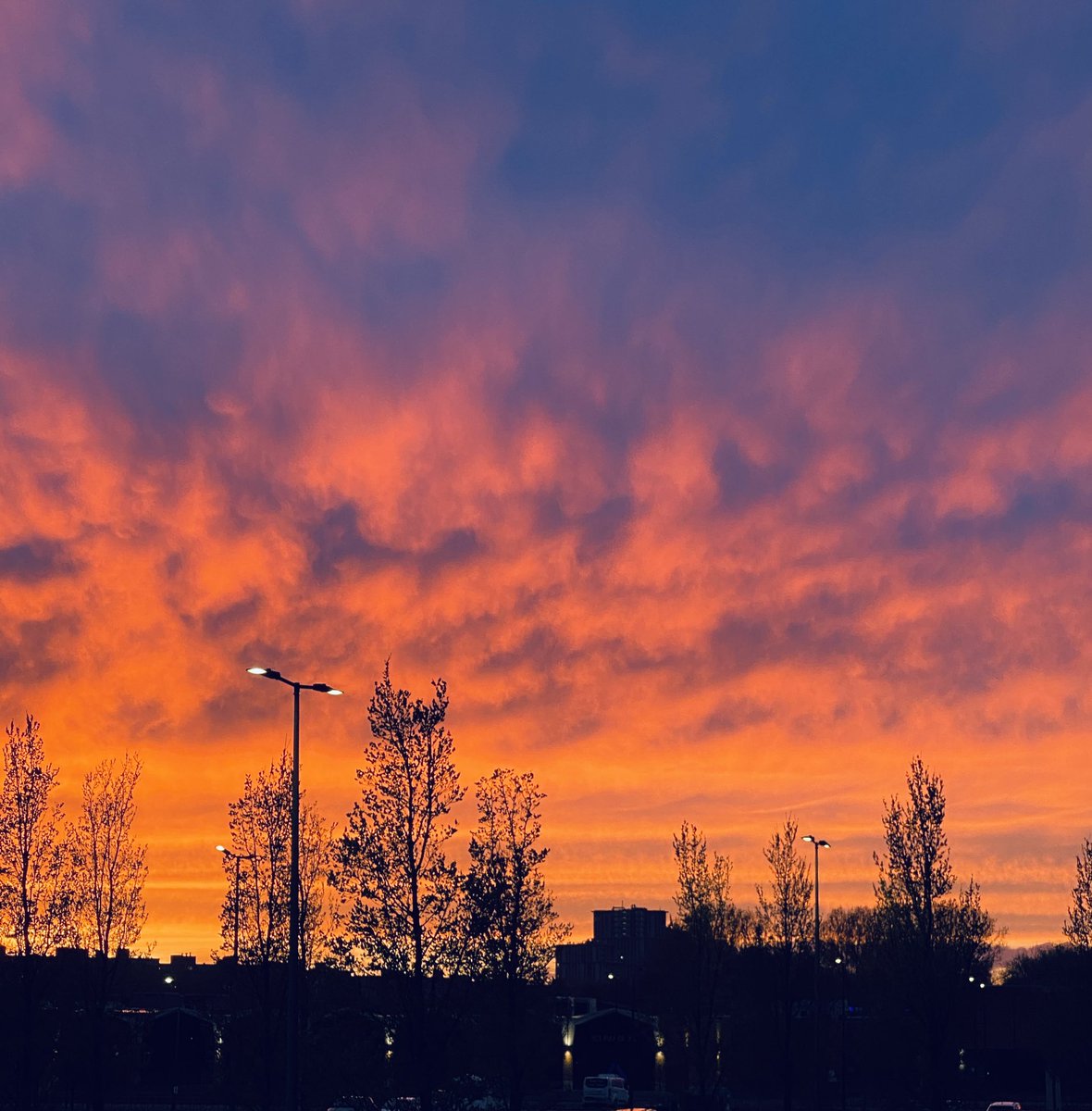 amvanbuuren's tweet photo. Sky on fire🧡
Zonsondergang in #maassluis
@weermanrobert @weermanreinier @BuienRadarNL https://t.co/r1jm0KadJ3