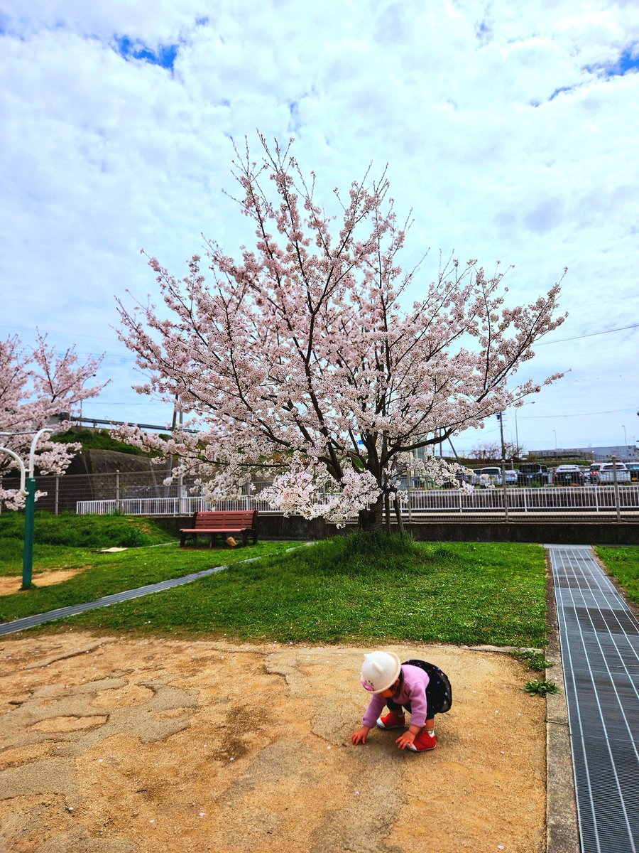 公園でお花見！たのしかったね〜〜〜〜
