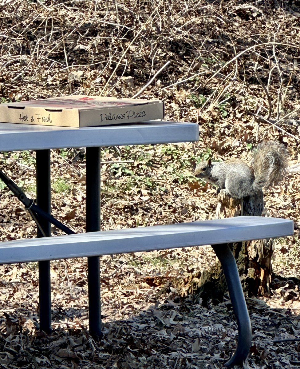 He looked hungry so I ordered him a pizza. You’re welcome, l’il buddy.