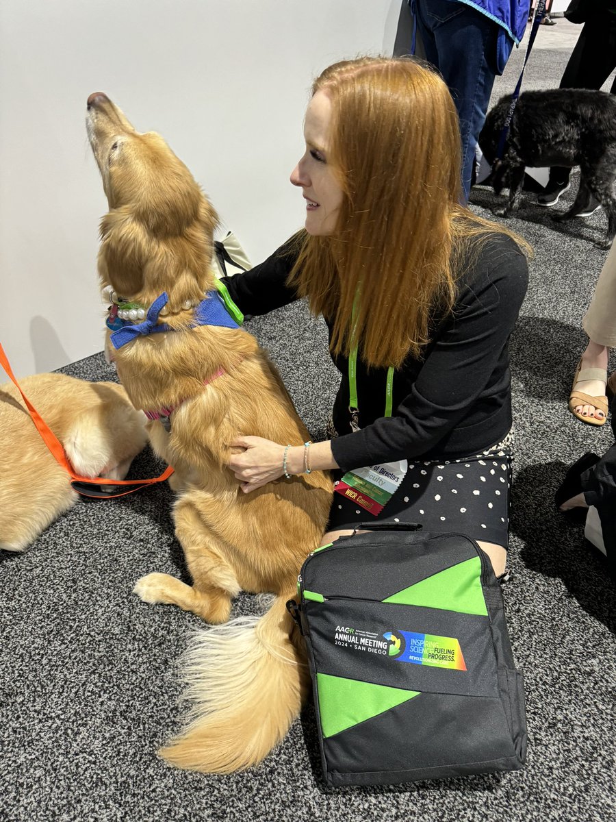 Happening now! Therapy Dogs 🐶 in the Wellness Lounge - Exhibition Hall. Until 3pm today! Come visit and get a dose of puppy love 🩵 #AACR24