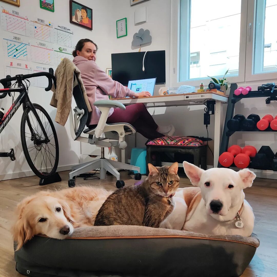 No such thing as Sunday scaries when your Monday looks like this. 🐶🐱🐶💕 #TrustedHousesitters #PetWanderlust _ Thanks to @runningenia for today's #TrustedTales. 🐾