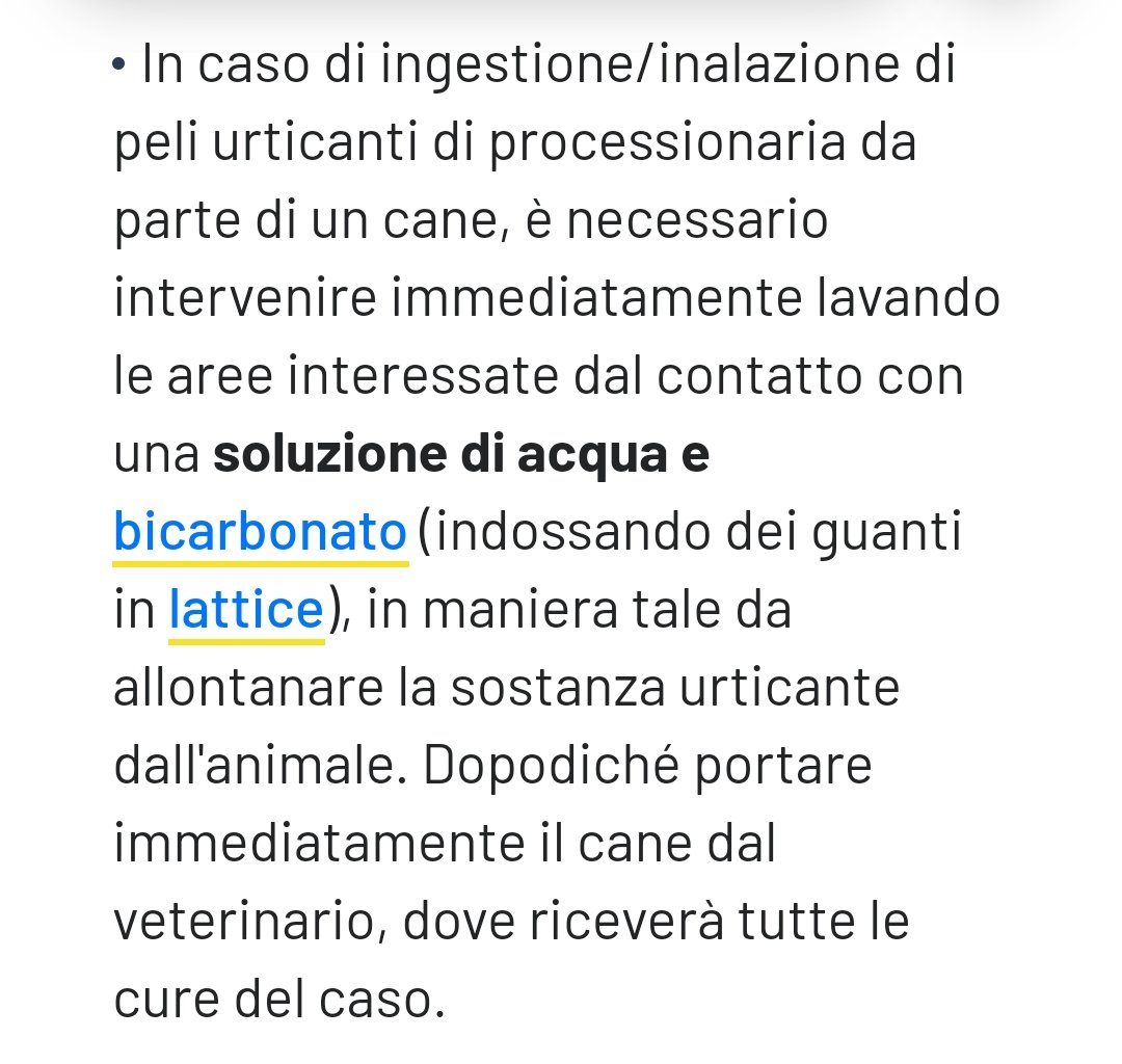 Bene segnalare sui social,ma ancora meglio avvisare immediatamente gli organi competenti citati nel paragrafo. 

İnfine,ecco come agire in caso di contatto diretto o indiretto con la processionaria,che può rivelarsi molto pericolosa sia per l'uomo che per i nostri amici a 4 zampe