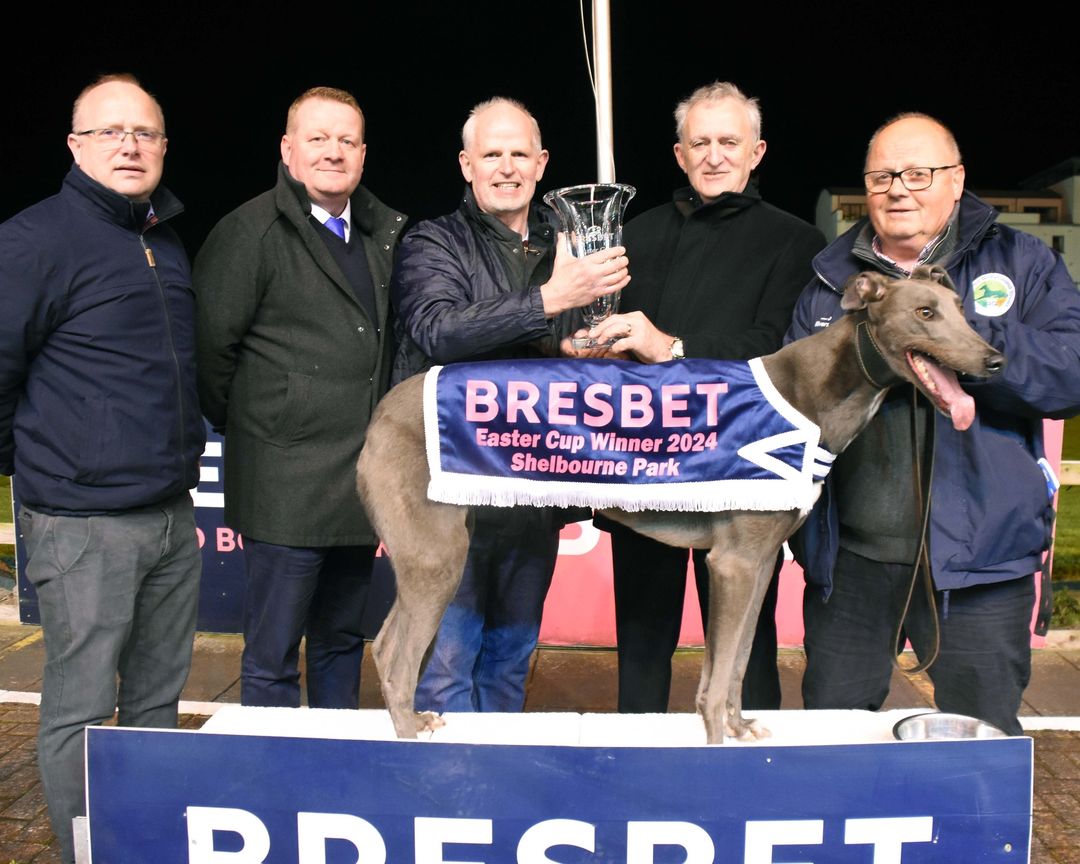 Clonbrien Treaty completed a Classic hat-trick on Saturday night, winning the @BresBet Easter Cup Final, and secured a 5th Easter Cup win for trainer Graham Holland. @IanFortune reports on the win on bit.ly/3vHXVl9 #BresBetEasterCup #GoGreyhoundRacing #ThisRunsDeep