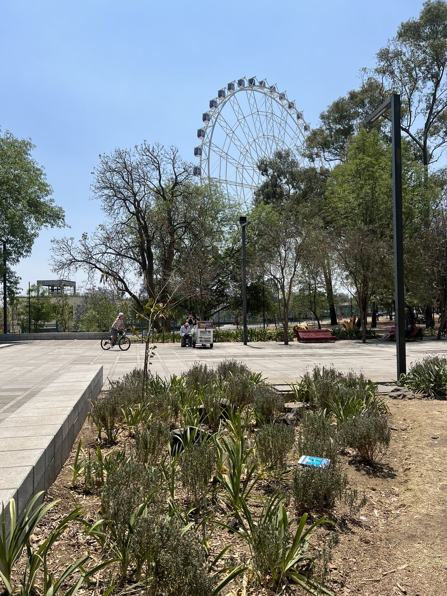 danyellariv's tweet image. Sabías que los 7 de cada mes se liberan (dejar) o encontrar libros por la cuidad 📖 📚 aquí te dejo una pista por si andas por aquí 
#librolibre
#lector 
#books