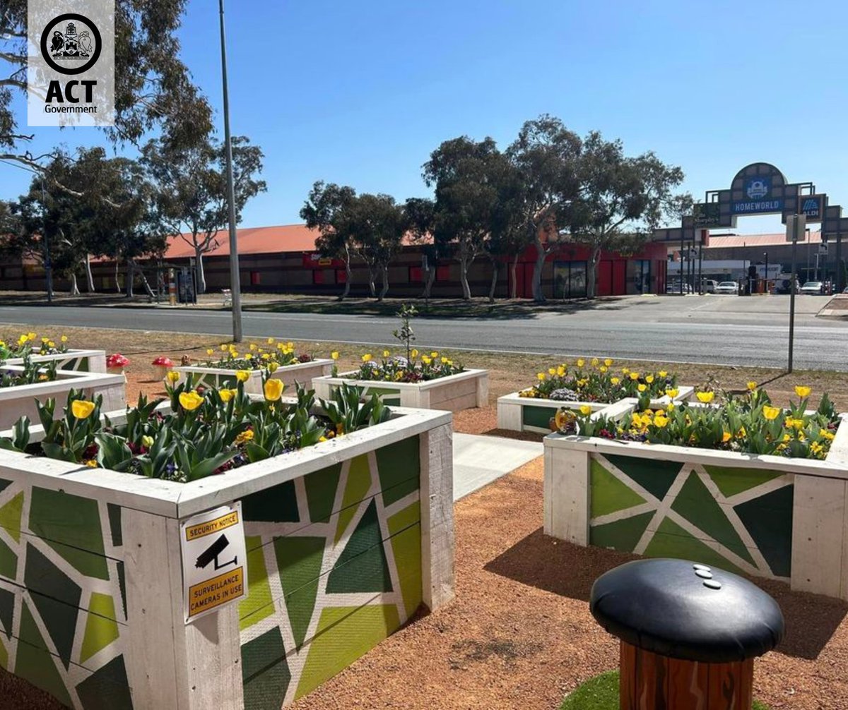 Floriade Community will be back again in 2024. Eligible groups and organisations are invited to apply now. The program provides successful applicants with bulbs and annuals to plant and maintain in their local area. For info or to apply, visit 👉 floriadeaustralia.com