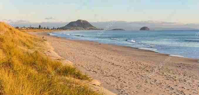 Highlighting Tour 1 field trip for <a href="/Postharvest2024/">@postharvest2024</a> conference – <a href="/plantandfood/">Plant & Food Research</a> Te Puke site,  <a href="/TrevelyansNZ/">Trevelyans Te Puke</a>  and Papamoa Beach
You can check out more about our field trips on the website: scienceevents.co.nz/.../postharves…... Abstracts are due April 30th