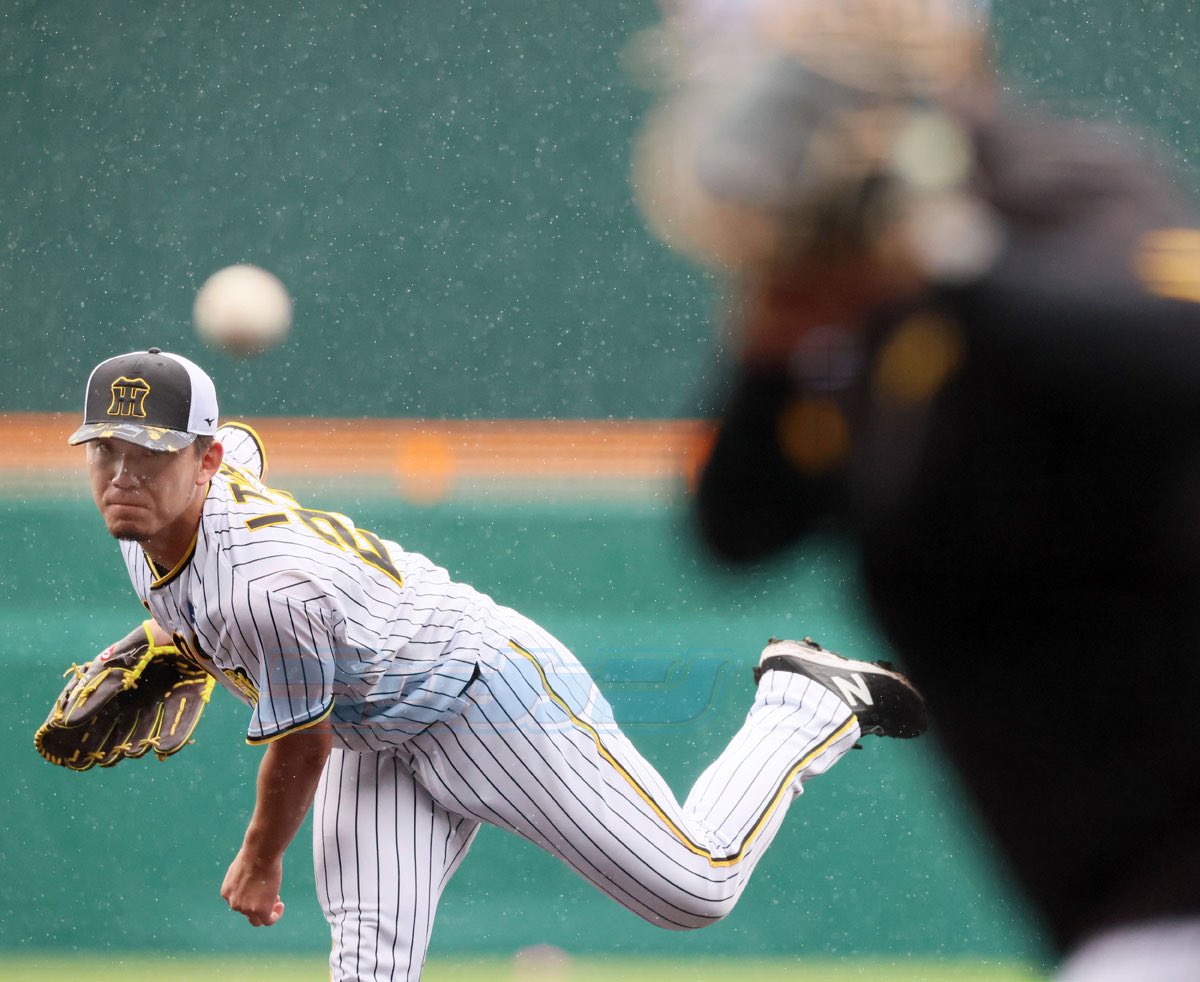 雨も滴る…☔️

#阪神タイガース #伊藤将司