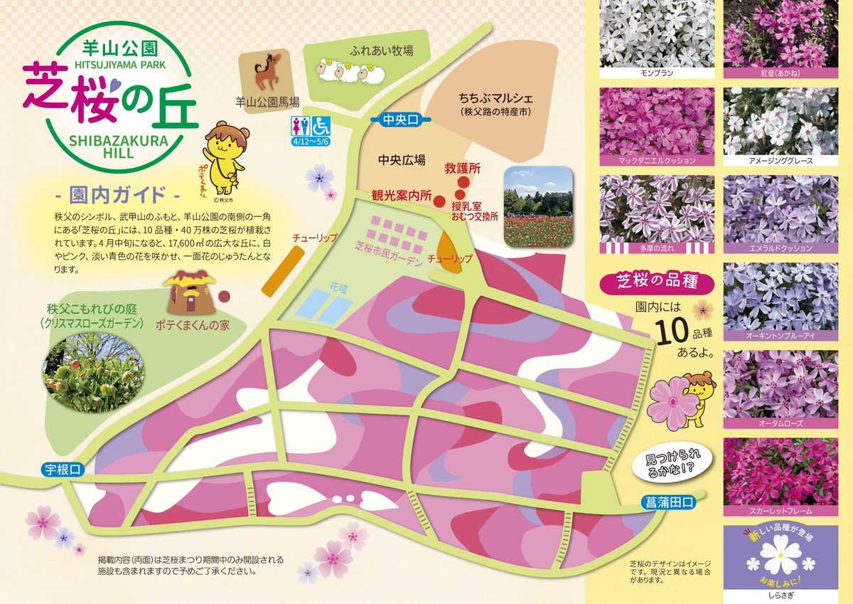 4/5(金)～5/6(月)は！ 芝桜の丘で芝桜まつりが開催されますわ🌟 丘一面に広がる色とりどりの芝桜は絶景ですわよ！ ぜひ春色の秩父へ遊びにきてくださいね✨ ポテくまくんもお出迎えをしてくれる日があるそうなので、そちらもチェックして下さいね🥳 　 navi.city.chichibu.lg.jp/p_flower/1808/ #秩父市 #芝桜の丘