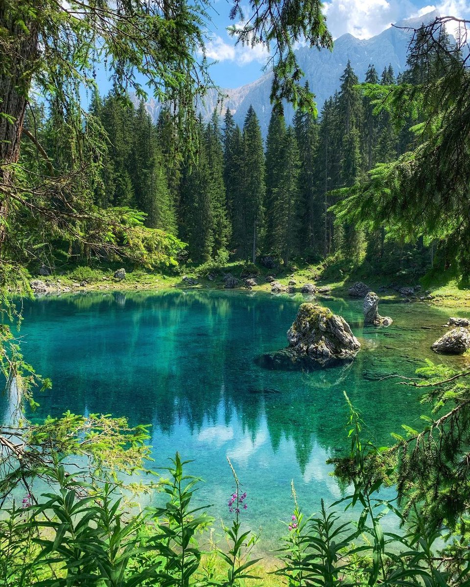 Happy New Week 🌞💚