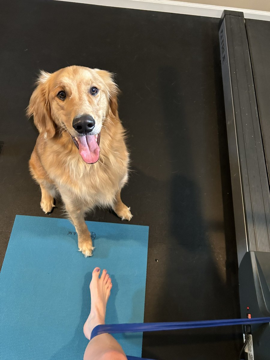 Hey Mom,
You’re doing great! When will you be done so you can play with me? 
Love,
Rover 

#workout #workoutmotivation #dogmom