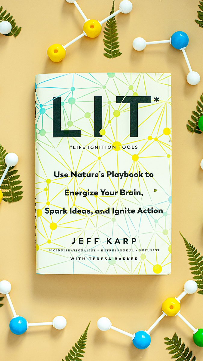 Everyone needs to get 'LIT'🌟 (the book) It’s written by my friend @mrjeffkarp —> a toolkit for transformation ✨ We all possess the power to ignite our lives, no matter our starting point. It’s time for all of us to awaken! 🙏🏻Click jeffkarp.com to order! #LITBook #LIT
