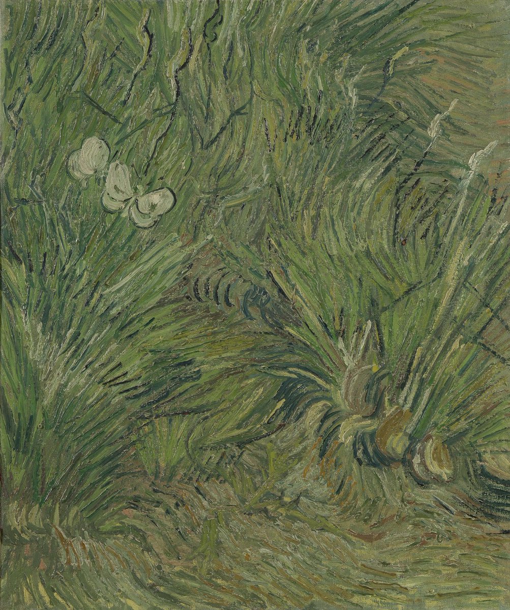 #VanGogh of the Day: Garden with Butterflies, Spring 1890. Oil on canvas, oil on canvas, 54.8 x 45.7 cm. Van Gogh Museum, Amsterdam. @vangoghmuseum