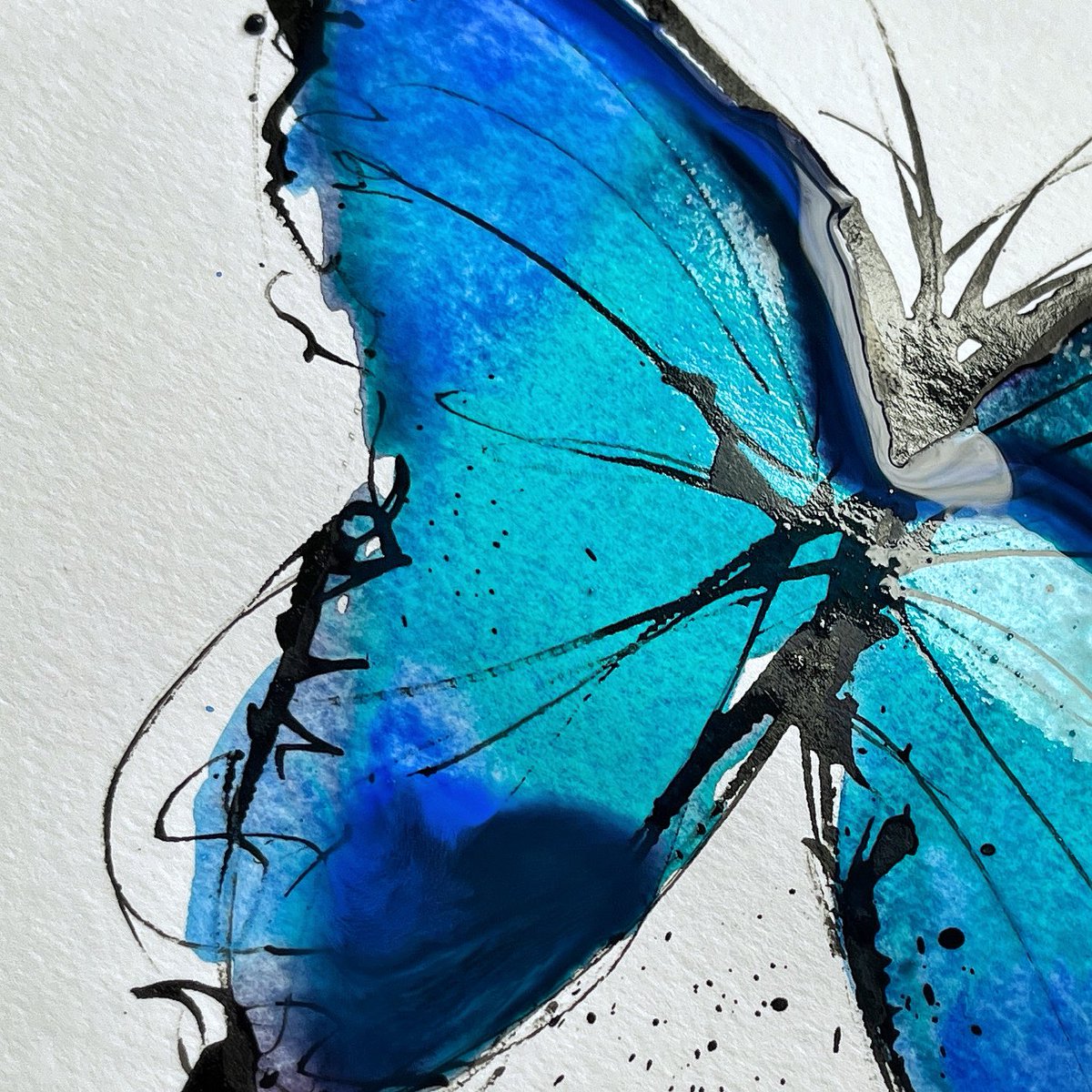 Butterfly detail 🦋 @IllustrateProse #paint #draw #butterfly #fly #flyaway #colour #blue #turquoise #teal #ink #indianink #colourwash #painting #workinprogress #process #light #bright #wetpaint #art #artist #create #creative #detail #wings #symmetry #chrysalis #metamorphosis