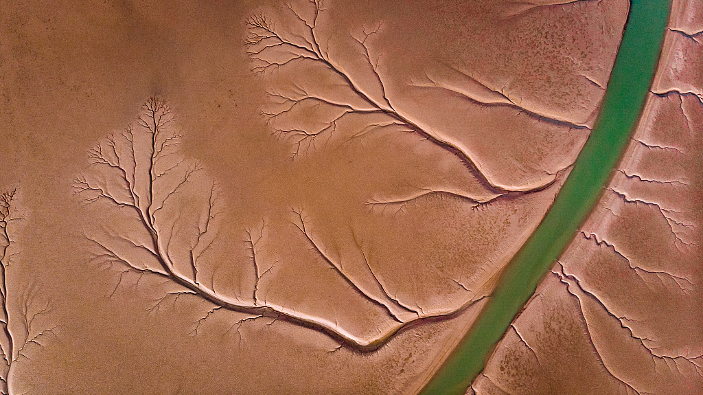 CGTNOfficial's tweet photo. Do you know what river is called "the Mother River" in China?

The answer is the Yellow River, which runs through seven provinces and two autonomous regions in China from west to east. #PeonyForum2024

Originating from the Qinghai-Xizang Plateau, the Yellow River is the second-longest river in China and is usually deemed the cradle of Chinese civilization. In ancient times, the river carried tons of loess, part of which was deposited at the bottom of the channel, and the sedimentation formed the vast land. The ancestors living near the basin applied the flowing water to irrigate the land and develop plantations, which paved the way for the growth of Chinese civilization.

As one of the cities by the Yellow River, Heze in east China's Shandong Province will hold the World Peony Conference from April 8.

Have you been to any cities along the river? Share with us your photos in the comment section.