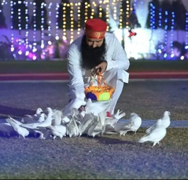 To save the lives of the bird's Saint Dr MSG Insan started #BirdsNurturing. Under which millions of Dera Sacha Sauda volunteers arrange food and water for birds on their rooftops, pillars and parks. This has saved the lives of birds.