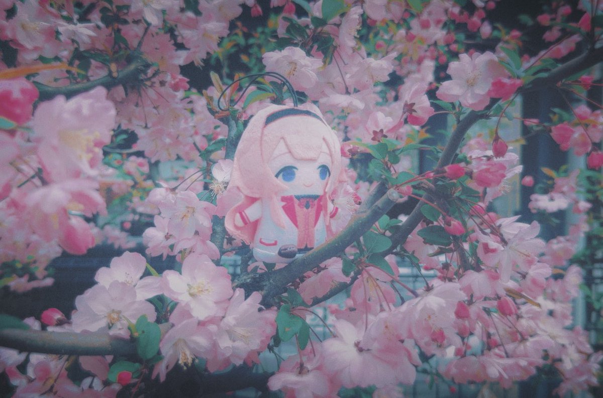 お花の妖精みたいだね

#ンゴサ 
#ンゴンゴ今日も可愛いンゴ
#にじぱぺっとが見られるタグ