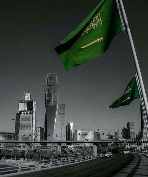 🤍💚🇸🇦
#يوم_العلم