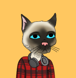 amccarthy.eth tweet media