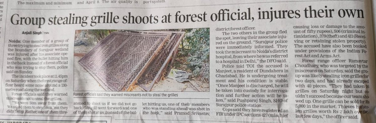 One member of a group of three trying to steal iron grilles along the boundary of Surajpur wetland was injured after his associate opened fire, with the bullet hitting him in the back instead of a forest official. timesofindia.indiatimes.com/city/noida/gro…