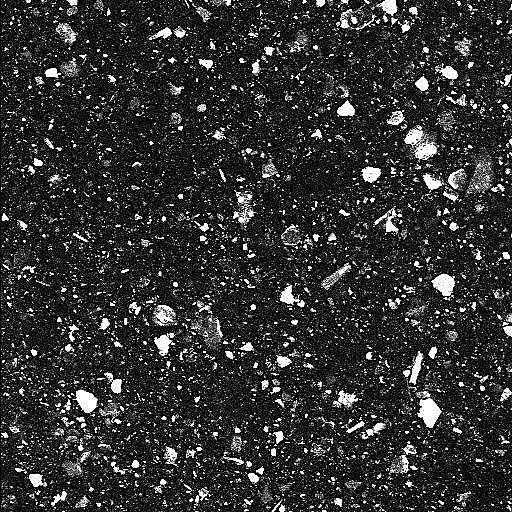 NanjangudToothP's tweet image. particle size of raw ash, NTP and Colgate  #lotsofquestions