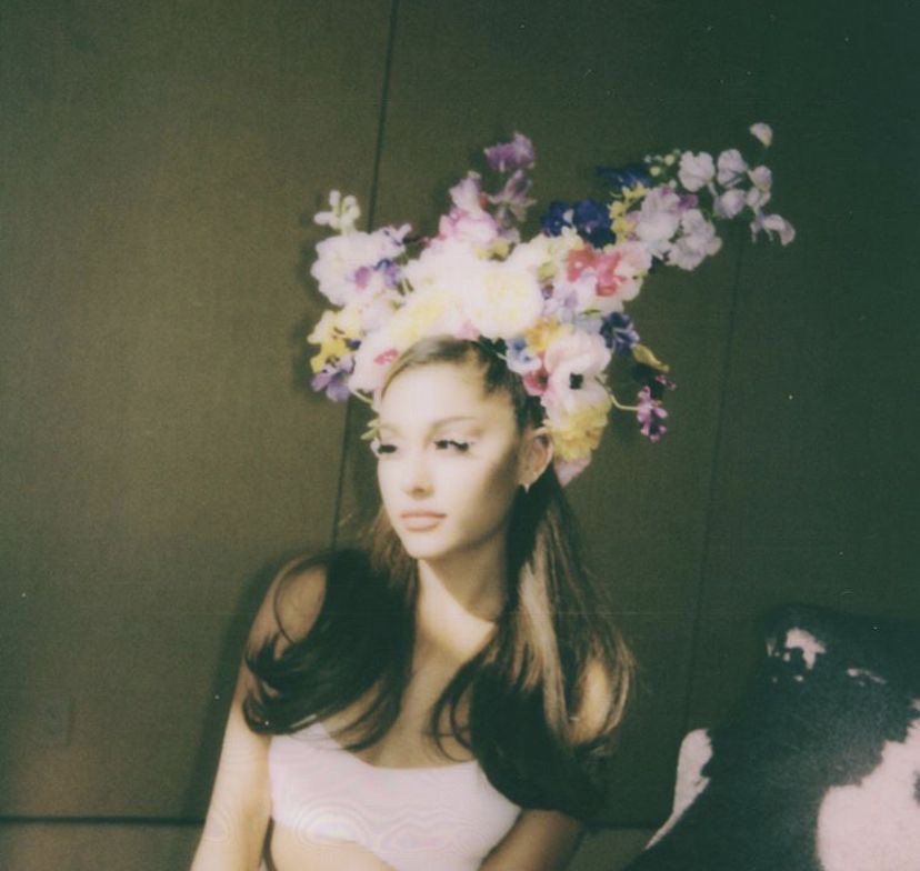 framesbyari's tweet image. 