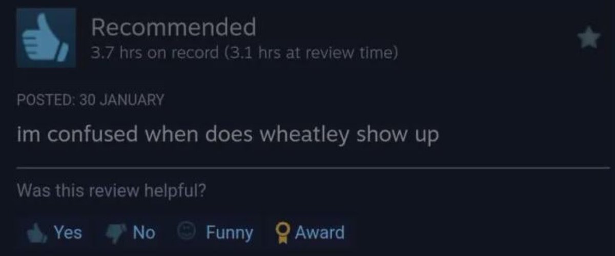 Odd Steam Reviews tweet media