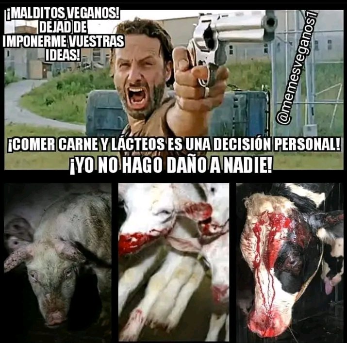 Diego Nevado mtnez (@martineznevado) on Twitter photo 