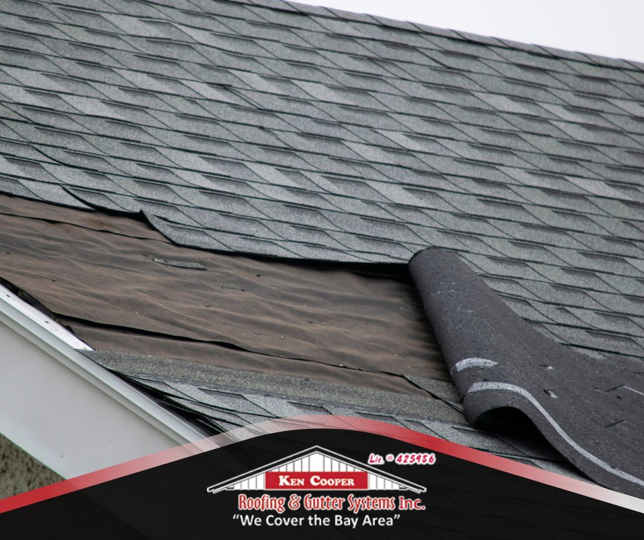 💨 Windy Weather Ahead? 💨
Secure your roof against the elements. Regular maintenance can prevent wind damage.
🛠️ Contact Ken Cooper Roofing at (415) 446-5500 for a roof check-up today!
#StormPreparation #RoofMaintenance #KenCooperRoofing