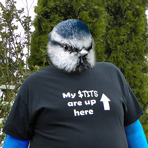 BlueTitsBase's tweet photo. One in five people engages in birdwatching or takes interest in studying birds. 

If a conservative 10% of these people were all to invest $1 each, that would put the market capitalisation of $TITS at $160 million USD. Not bad for a birdwatching community! 🐦 https://t.co/ElFkb6G7pt