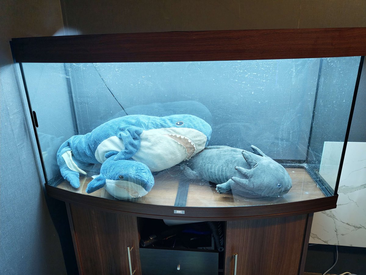 LyzGameArt's tweet photo. Is my aquarium overstocked? #AquariumFish https://t.co/cI31ip9JXn