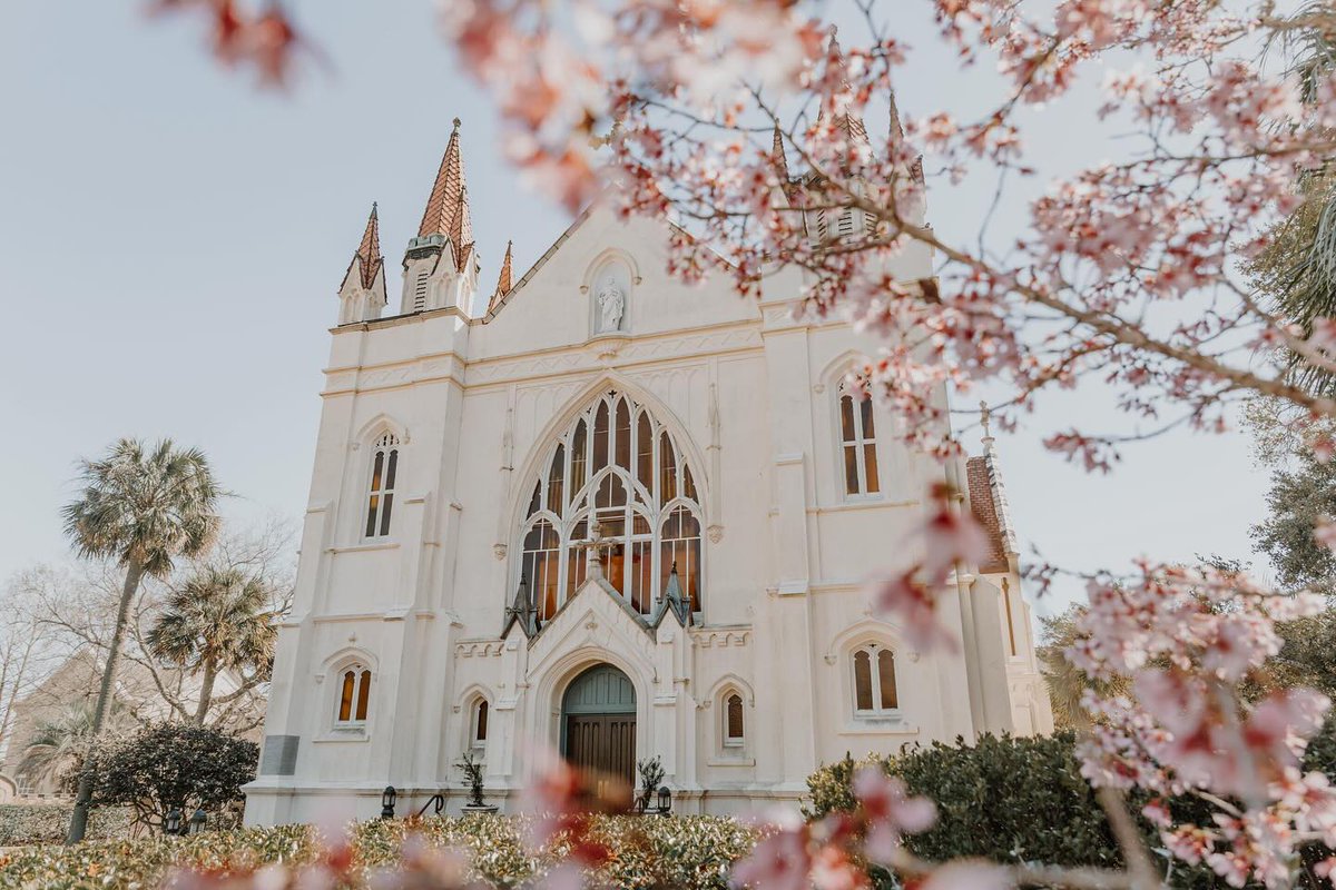 The Port City is in full bloom 🌸 What's your favorite thing to do in Mobile during Spring? 📸: nataliewilliamsonphotography on Instagram #mobileal #flowers #photography #springhillcollege