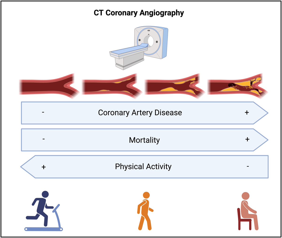 Check our editorial with Chip Lavie and @BudoffMd 👉🏻 Improving the prognostic impact of computed tomography coronary angiography with physical activity, exercise and fitness based on the great paper by @NatanzonSharon @robertjhmiller @Piotr_JSlomka @damini_dey @danielbermanmd…
