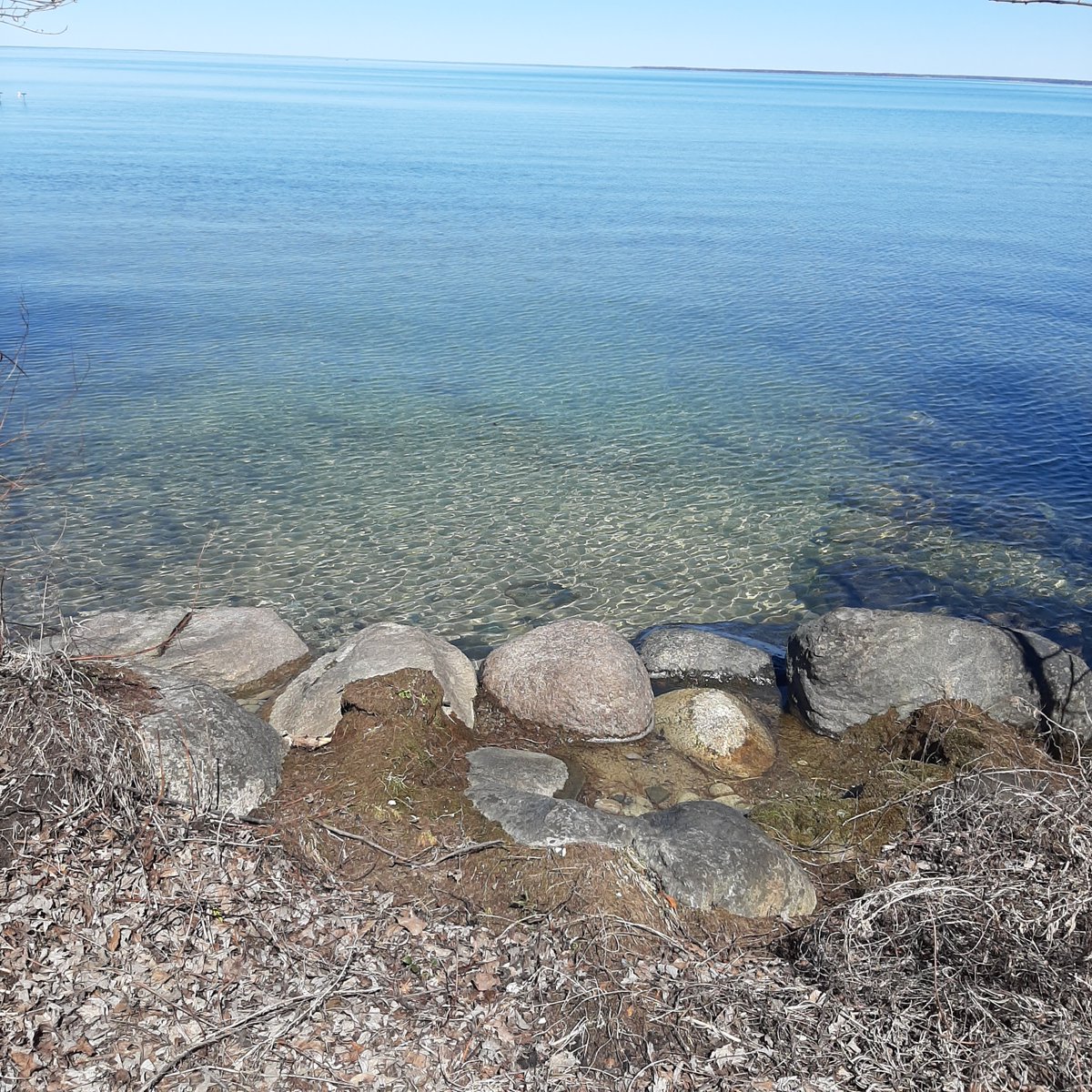 Cath_M_B's tweet image. #beautifulday #bythelake #outforawalk