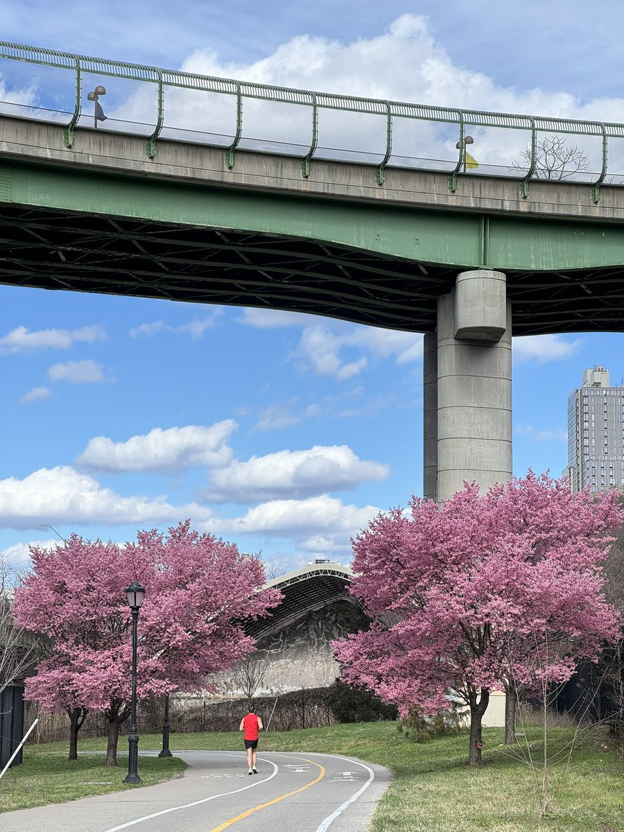 mcsheffrey's tweet photo. Combined two of my favorite bike rides in NYC, Central Park 🤝 Hudson River Greenway https://t.co/XeHtWTS4Q4