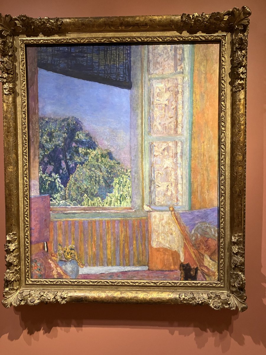 The Bonnard show at the Phillips Gallery- so good!