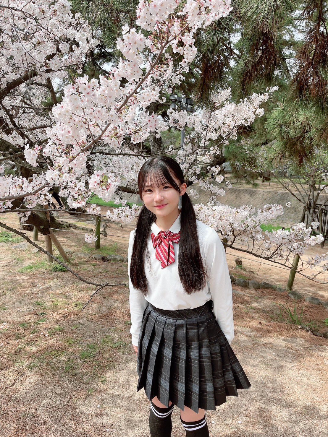 NMB48 宮本杏海 2025 June-rd vol.2 生写真 直筆サイン NMB48 宮本杏海 2025 June-rd vol.2 生写真 直筆サイン（宮本杏