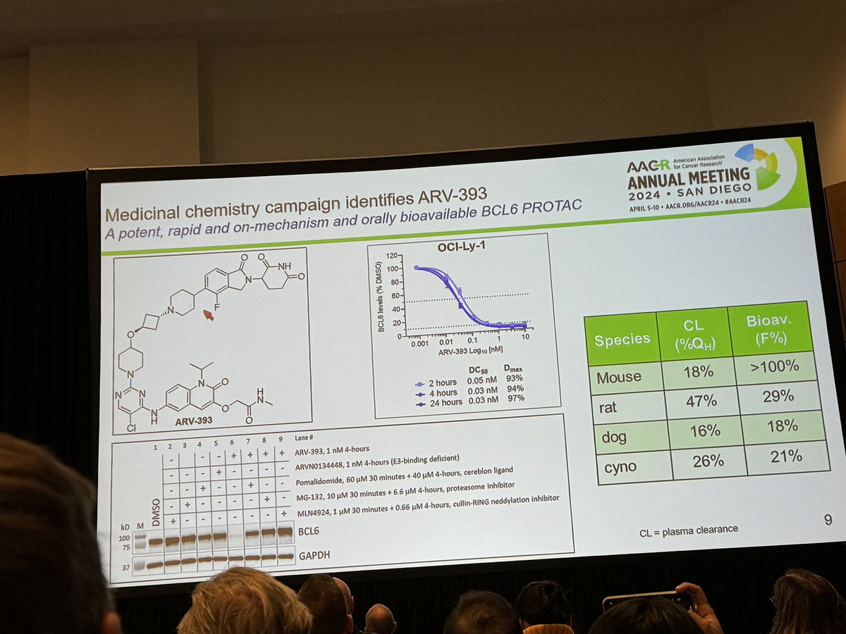 HartungIngo's tweet image. Introducing ARV-393: an ultra-potent &amp;amp; rapid #PROTAC degrader of BCL6 with consistent PK properties across species. Of note, a PROTAC with an occupancy-drug-like PK profile to overcome fast protein synthesis rebound. Neosubstrate selectivity: “clean enough to progress” #AACR24