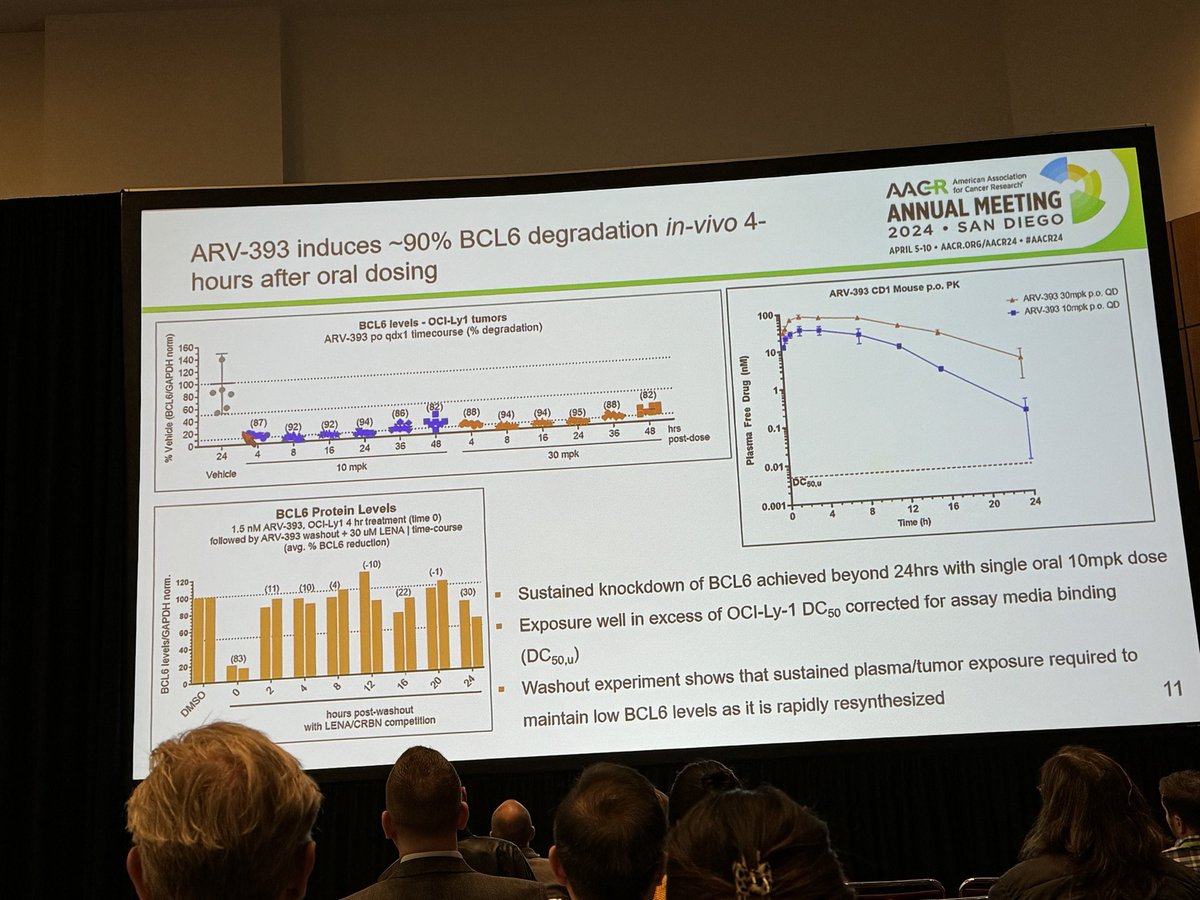 HartungIngo's tweet image. Introducing ARV-393: an ultra-potent &amp;amp; rapid #PROTAC degrader of BCL6 with consistent PK properties across species. Of note, a PROTAC with an occupancy-drug-like PK profile to overcome fast protein synthesis rebound. Neosubstrate selectivity: “clean enough to progress” #AACR24