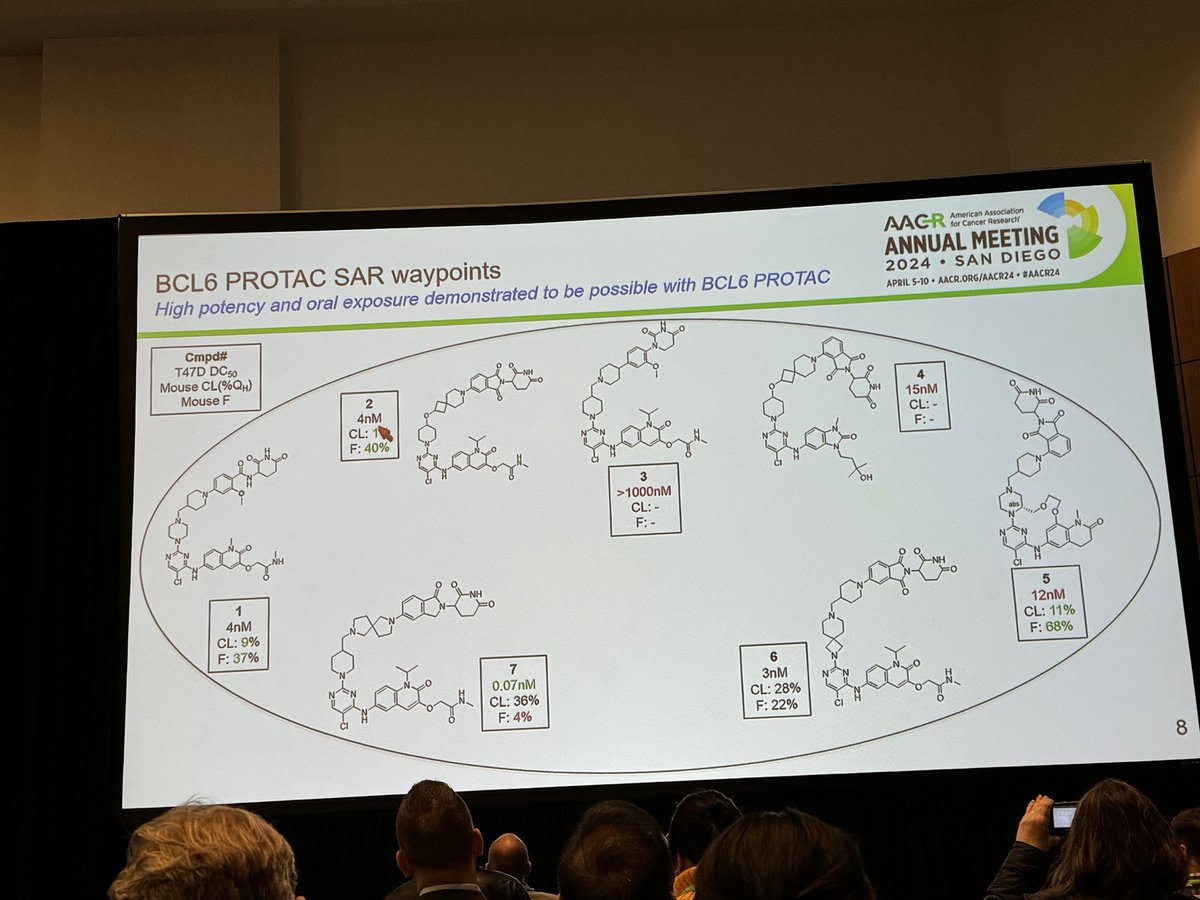 HartungIngo's tweet image. Introducing ARV-393: an ultra-potent &amp;amp; rapid #PROTAC degrader of BCL6 with consistent PK properties across species. Of note, a PROTAC with an occupancy-drug-like PK profile to overcome fast protein synthesis rebound. Neosubstrate selectivity: “clean enough to progress” #AACR24