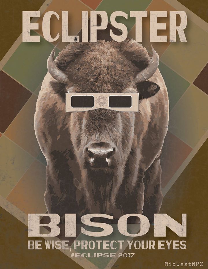 Be hip, like the Eclipster Bison. Keep your cool and manage your expectations tomorrow. Be patient and prepared. Expect crowds and waits in the national park. We want you all to be safe, have fun and be wise, protect those eyes! nps.gov/cuva/eclipse.h… NPS image