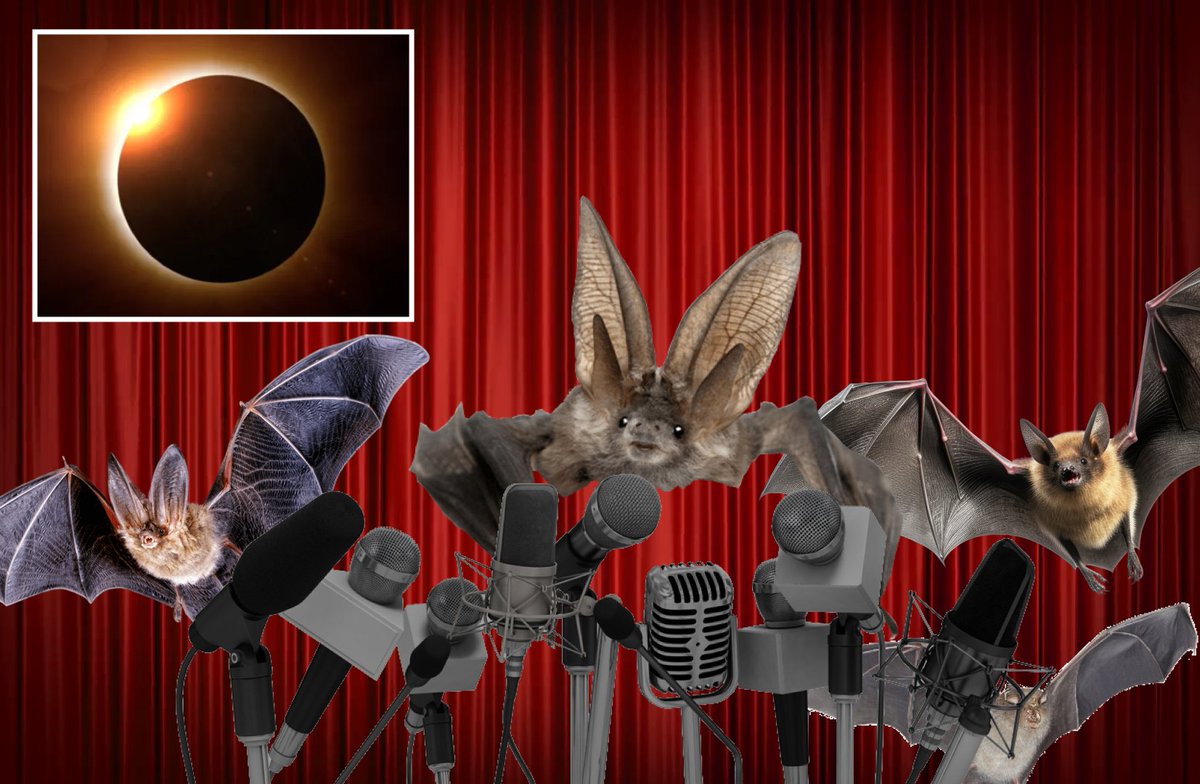 Bats announce plans to fuck shit up during eclipse thebeaverton.com/2024/04/bats-a…