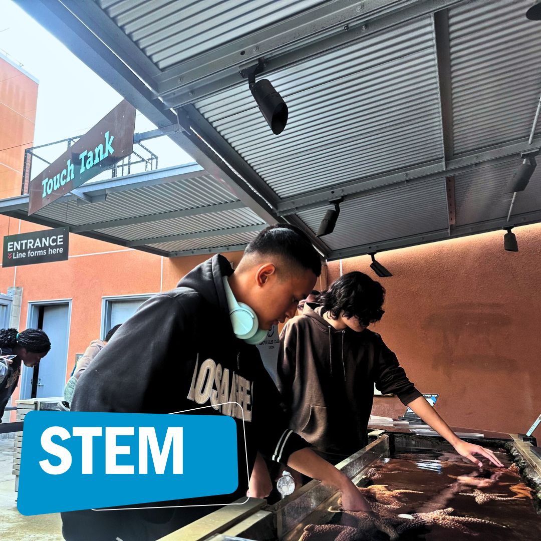 Boys & Girls Clubs of Carson tweet media