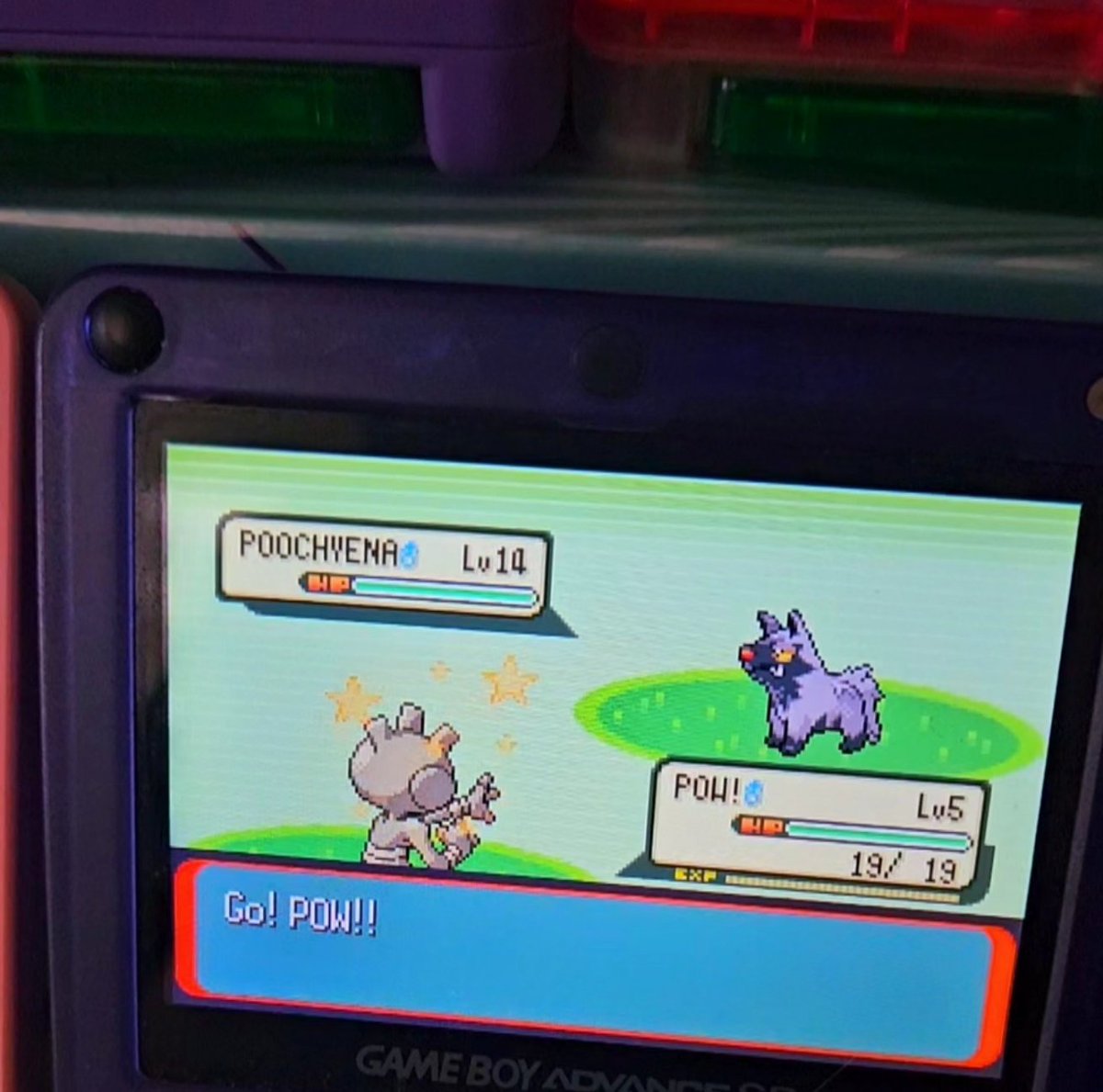 SHINY TYROGUE AFTER 5,808 EGGS!!!!✨️💙 This was a hunt I started last #eggmonth, but with x7 Emeralds + controller mod I was able to zoom through hatching this year!! I think we can all agree this is a literal S tier shiny🥰 He's named after my odd egg Tyrgoue in Crystal
(Cont)
