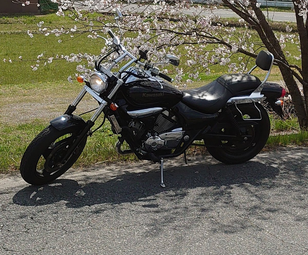 桜と愛車

#エリミネーター250V
#バイク好き